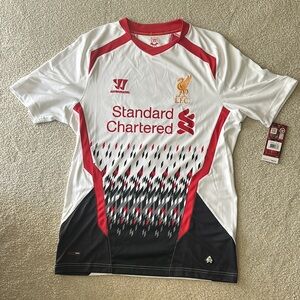 2013-14 Liverpool away kit / jersey.